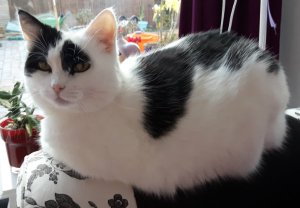 thankfulthursdaythanksgiving