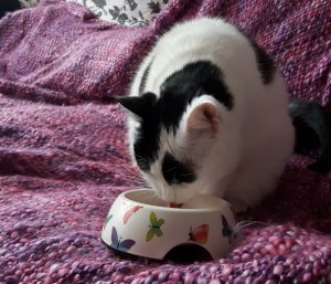 thankfulthursdaythanksgiving