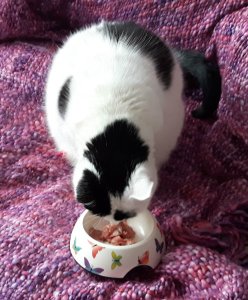 thankfulthursdaythanksgiving