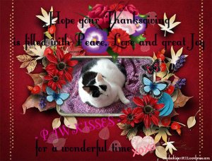 thankfulthursdaythanksgiving