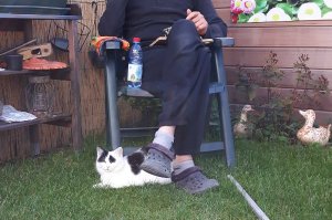 thankfulthursdaythanksgiving