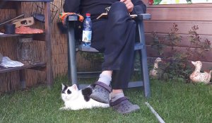 thankfulthursdaythanksgiving