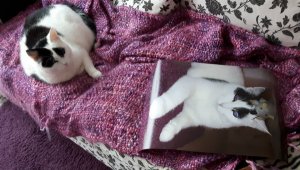 thankfulthursdaythanksgiving