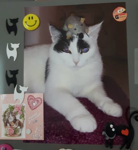 thankfulthursdaythanksgiving