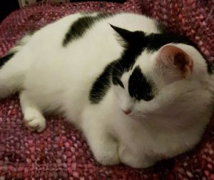 thankfulthursdaythanksgiving