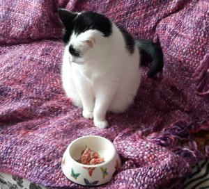 thankfulthursdaythanksgiving