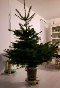 caturdayartchristmasstyle