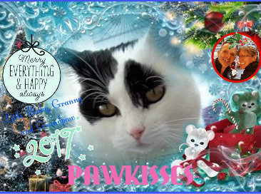 christmascardbinky2016