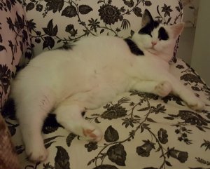 doityourselfies-and-art