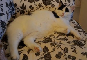 doityourselfies-and-art