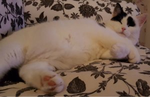 doityourselfies-and-art