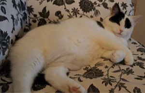 doityourselfies-and-art