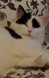 do-it-yourselfies and art