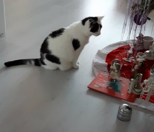 sundayselfieinsistor