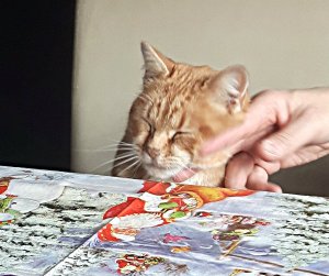 sundayselfieinsistor