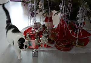 sundayselfieinsistor