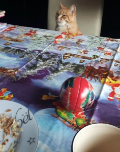 sundayselfieinsistor