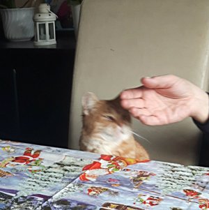 sundayselfieinsistor