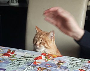 sundayselfieinsistor