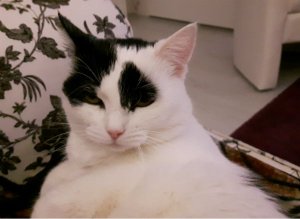 sundayselfiesintroders