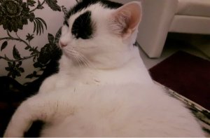 sundayselfiesintroders