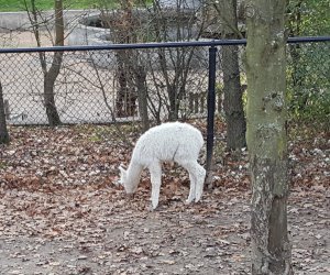 sundayselfiesintrooders