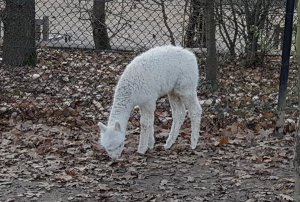 sundayselfiesintrooders