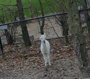 sundayselfiesintrooders