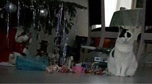 thankfulliebsteraward