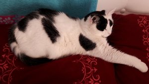 thankfulthursdaybed8-12-2016