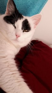 thankfulthursdaybed8-12-2016