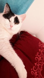 thankfulthursdaybed8-12-2016