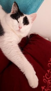 thankfulthursdaybed8-12-2016