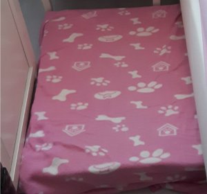 thankfulthursdaybed8-12-2016