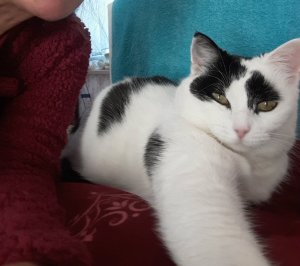 thankfulthursdaybed8-12-2016