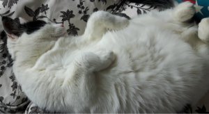 wordlesswednesdayyouare