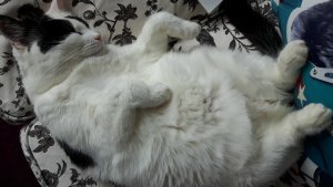 wordlesswednesdayyouare