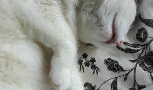 wordlesswednesdayyouare