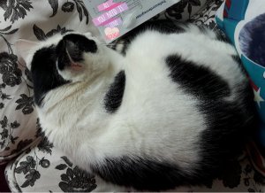 wordlesswednesdayyouare