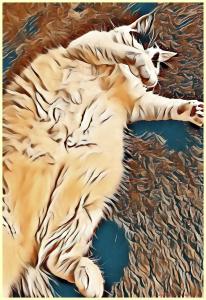 imageedit_7_7080912873