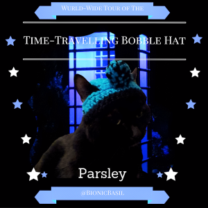 parsley-the-wurld-wide-tour-of-the-time-travelling-bobble-hat-bionicbasil