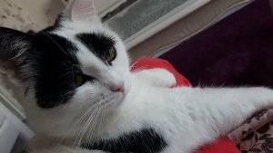 secondselfiesoftheyear