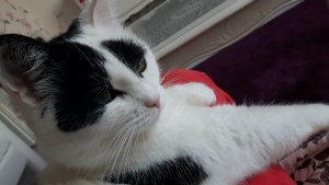 secondselfiesoftheyear