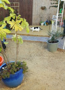 shoppingaroundtheworld