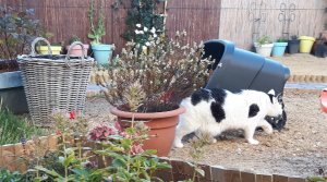 shoppingaroundtheworld