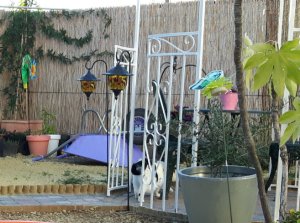 shoppingaroundtheworld