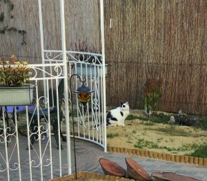 shoppingaroundtheworld