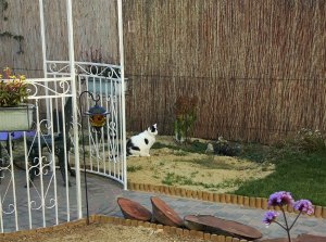 shoppingaroundtheworld