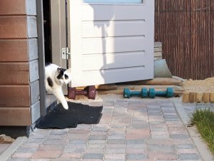 shoppingaroundtheworld