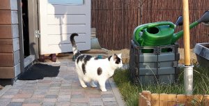 shoppingaroundtheworld